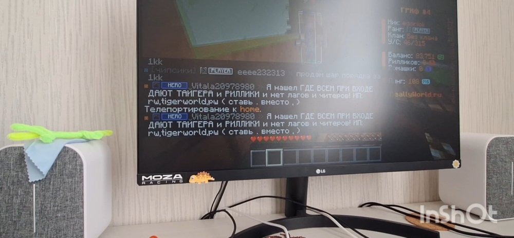 IMG18.jpg