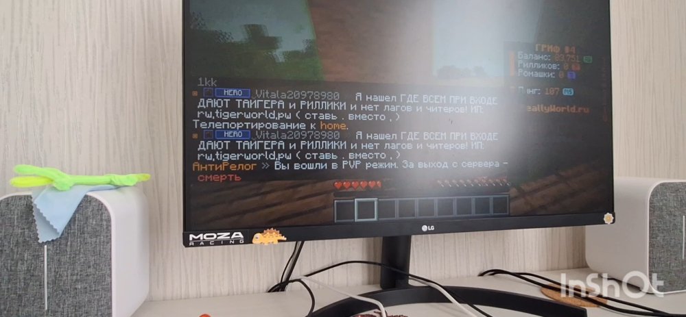 IMG19.jpg