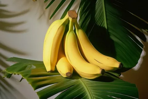 i.webp.8fb41a6cedd302125db562aa4c31c278.webp
