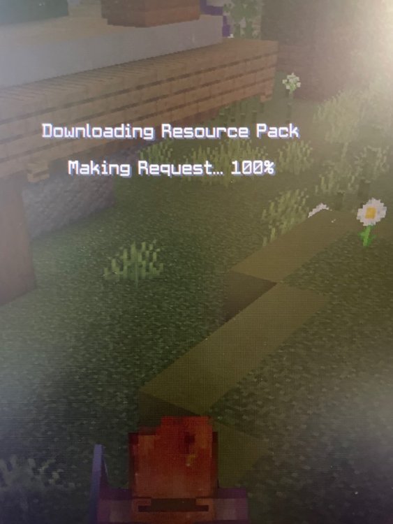image.jpg