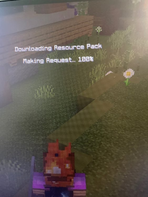 image.jpg