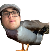 ddcewaM