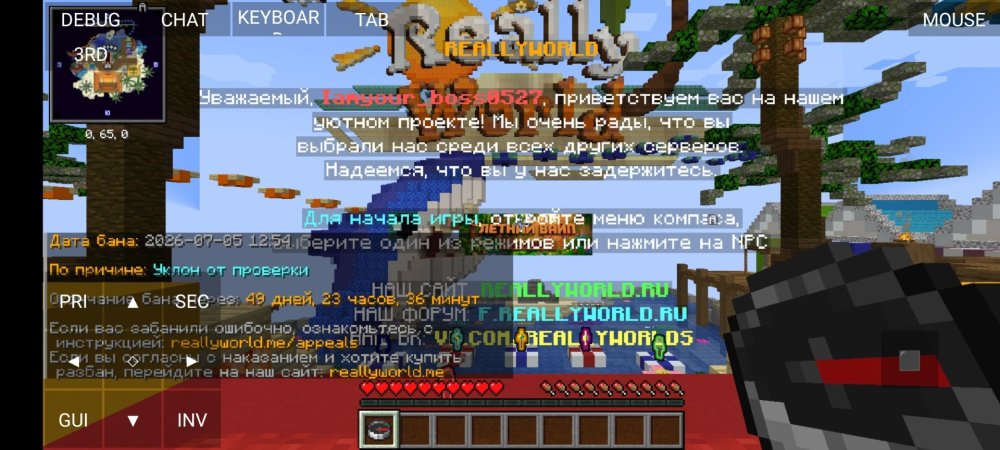 Screenshot_2026-07-05-13-17-33-803_net.kdt.pojavlaunch.debug.jpg