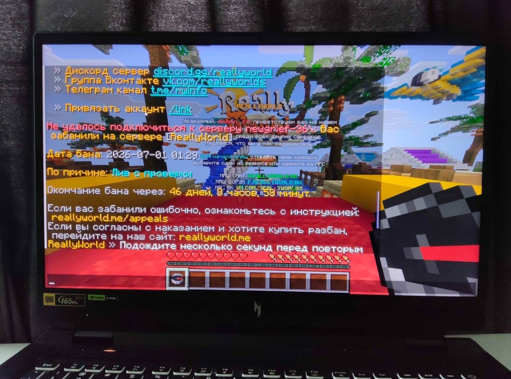 image.thumb.jpeg.b11ccca77959ab17d4e93e038326c033.jpeg