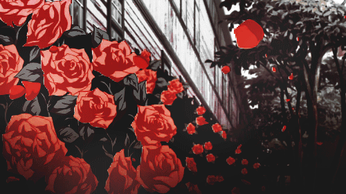 018061c4115995fa9a896cfb107a512a.gif