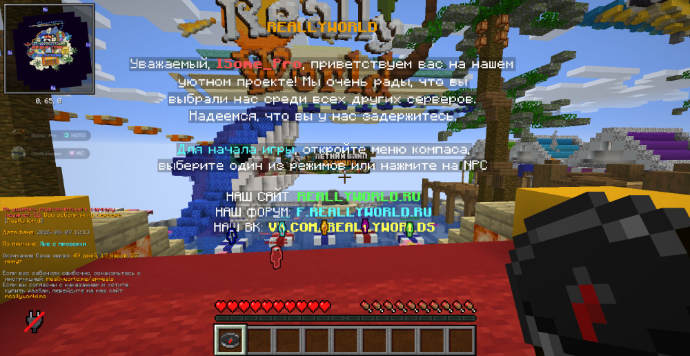 11221212.png