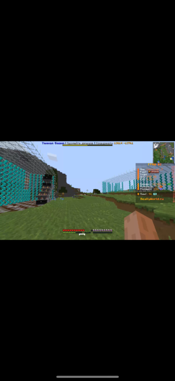 IMG_3153.png