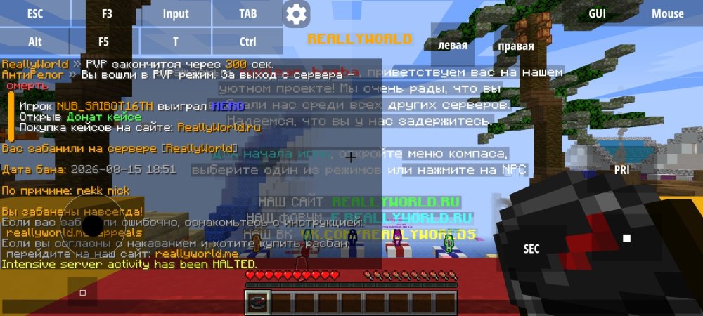 Screenshot_20260815-185310.jpg