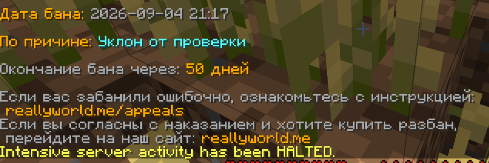 Снимок экрана 2026-09-04 202616.png
