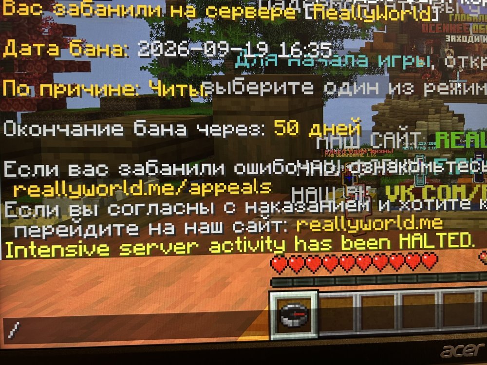 IMG_4824.jpeg
