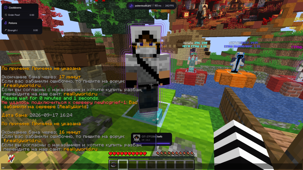 Minecraft_ 1.21.11 - Сетевая игра (сторонний сервер) 17.09.2026 16_29_20.png