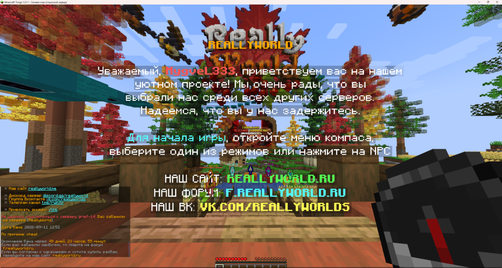 Minecraft_ 1.21.1 11.09.2026 12_57_08.png