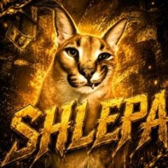 shlepa3000