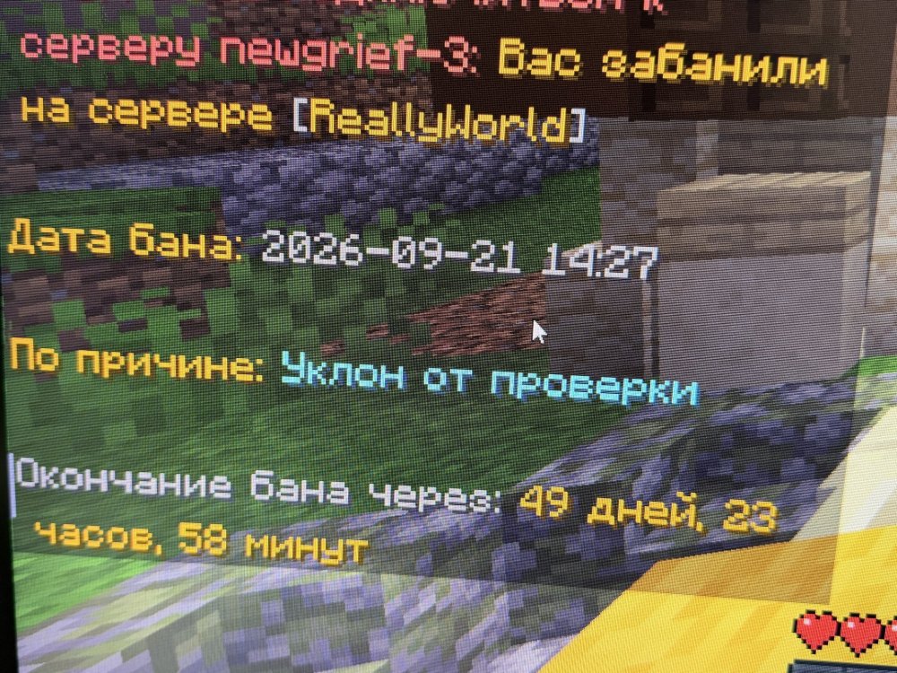 image.jpeg