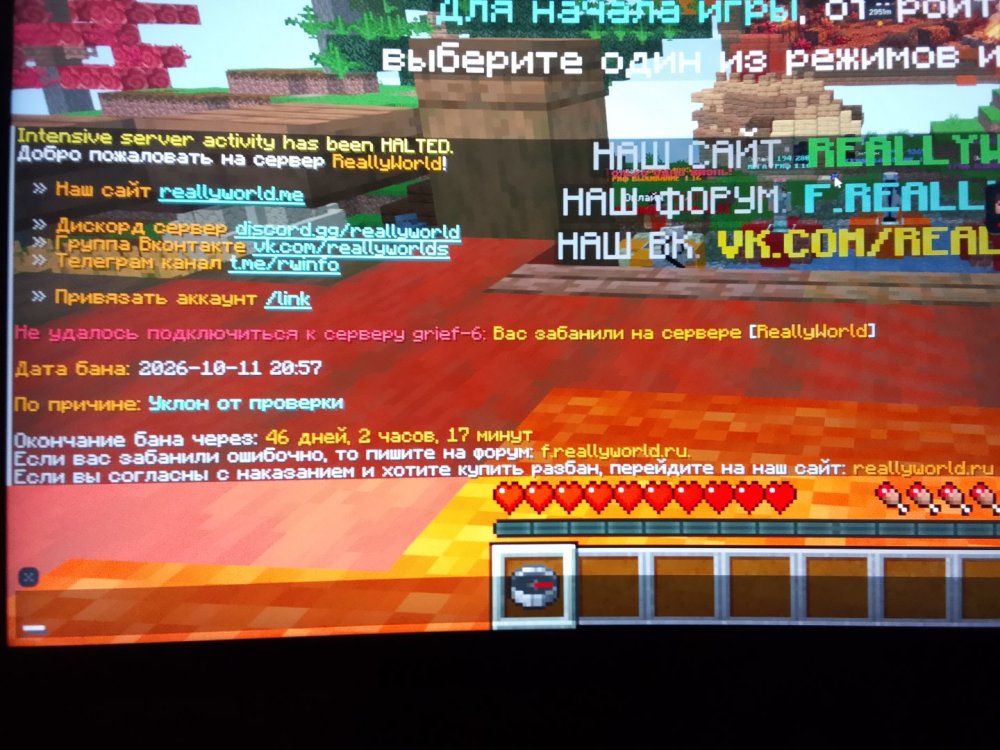 17920788267895740071621487911085.jpg