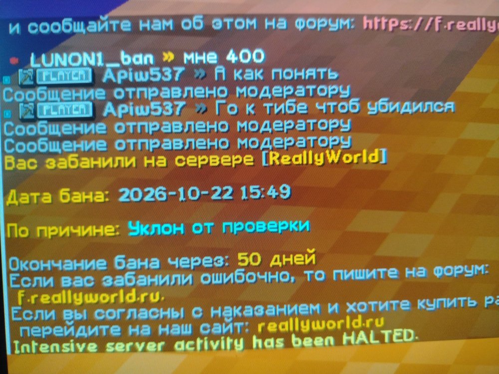 17926734384524095111132025290425.jpg