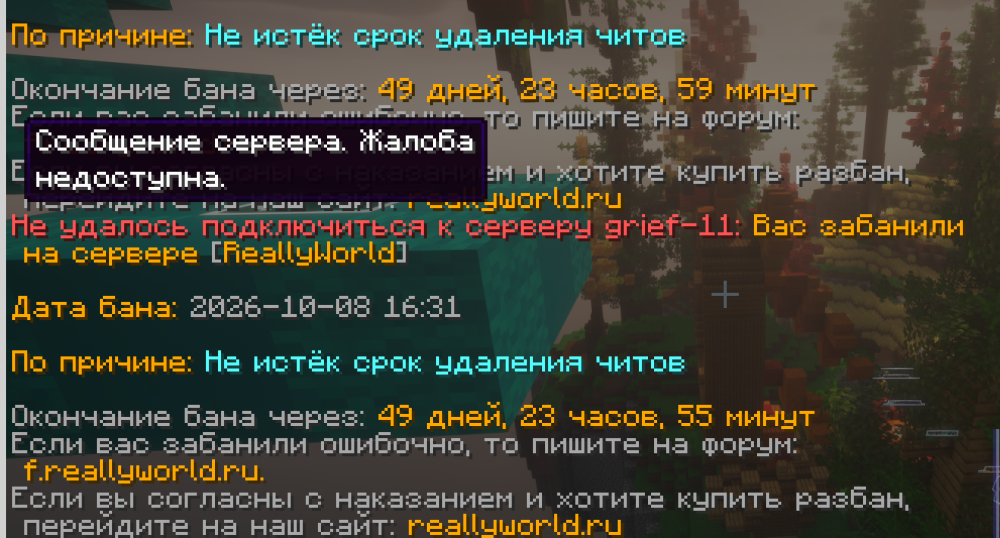 Снимок экрана 2026-10-08 153701.png