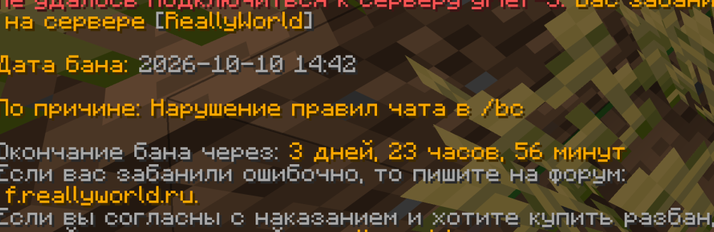 Снимок экрана 2026-10-10 144608.png