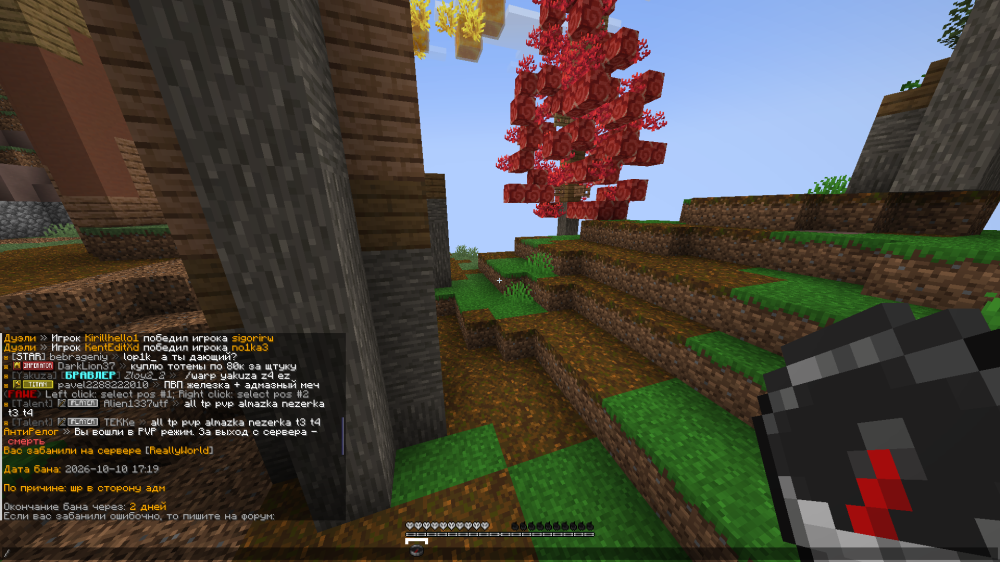 2026-10-10_21.22.14.png