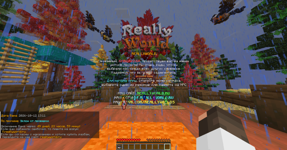 2026-10-12_13.12.29.png