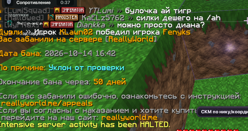 Снимок экрана 2026-10-14 184305.png