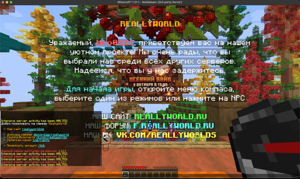 IMG_1013.png