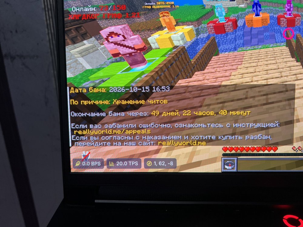 IMG_2210.jpeg