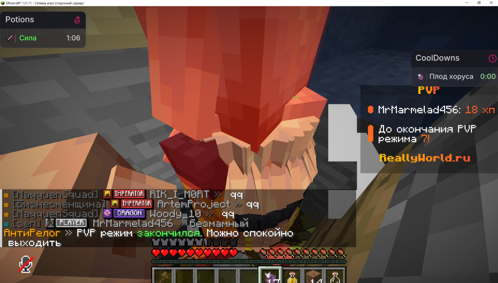 Minecraft_ 1.21.11 - Сетевая игра (сторонний сервер) 07.10.2026 18_16_27.png